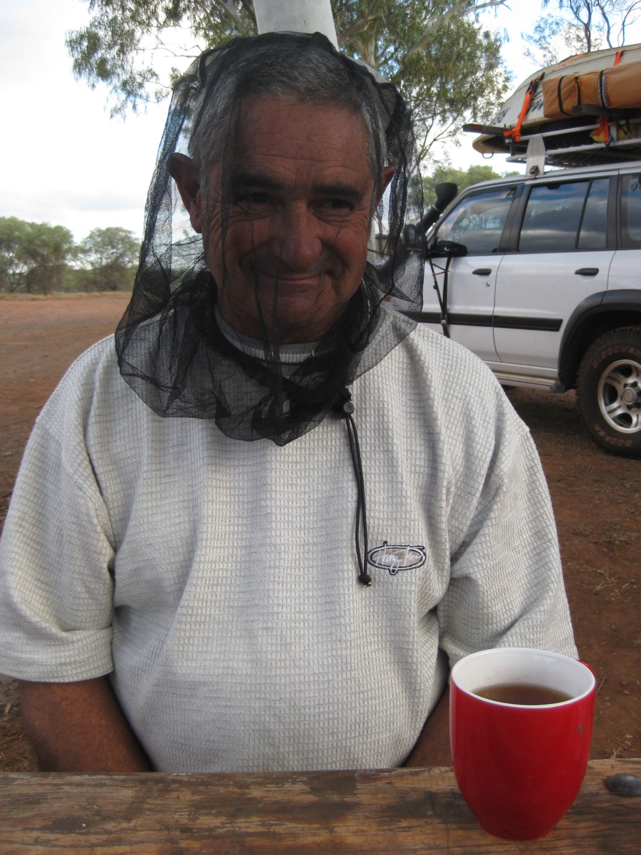 What Happens If You Swallow A Fly ? Tips on flies. HubPages