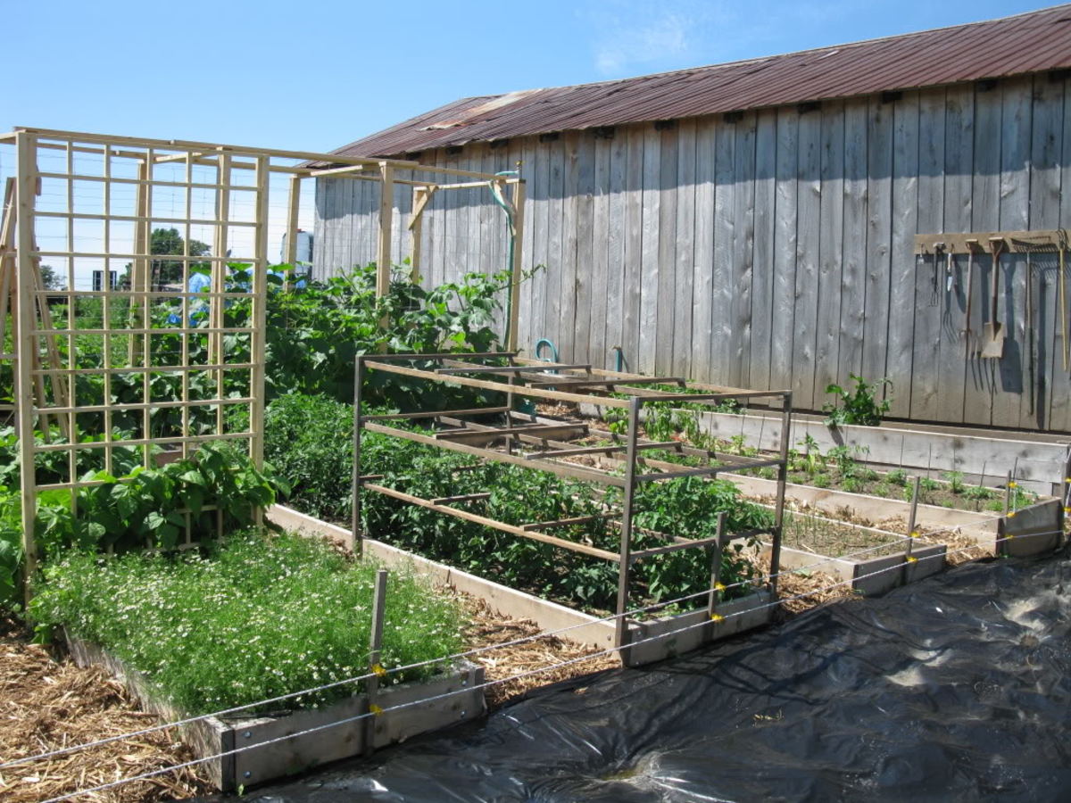 Building & Planting a Raised Bed Garden for Growing Vegetables. HubPages