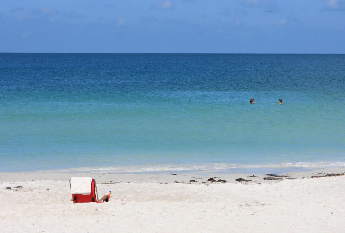 A Guide to Enjoying a Trip to Sarasota, Florida and the Surrounding