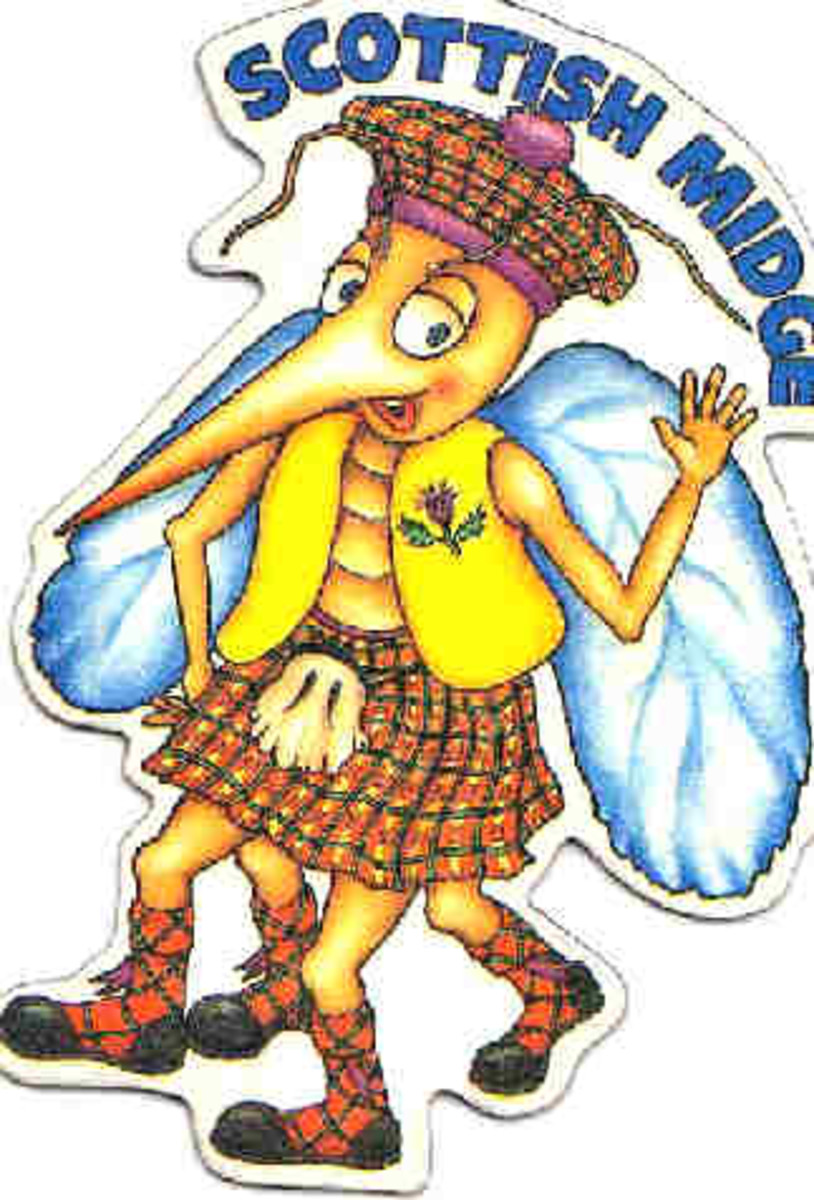 The Scottish Midge hubpages
