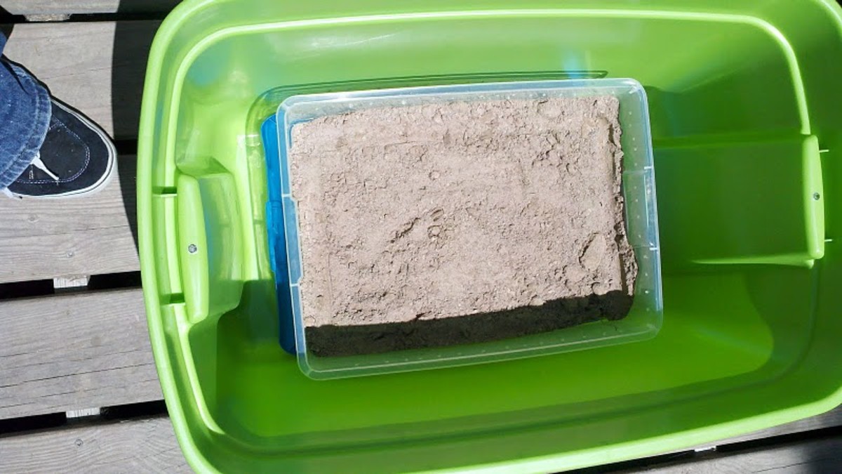 How To Make A Worm Farm For Fishing