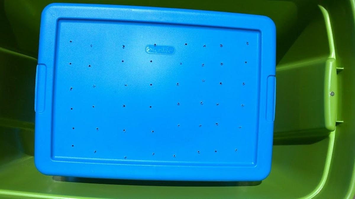 How To Make A Worm Farm For Fishing HubPages