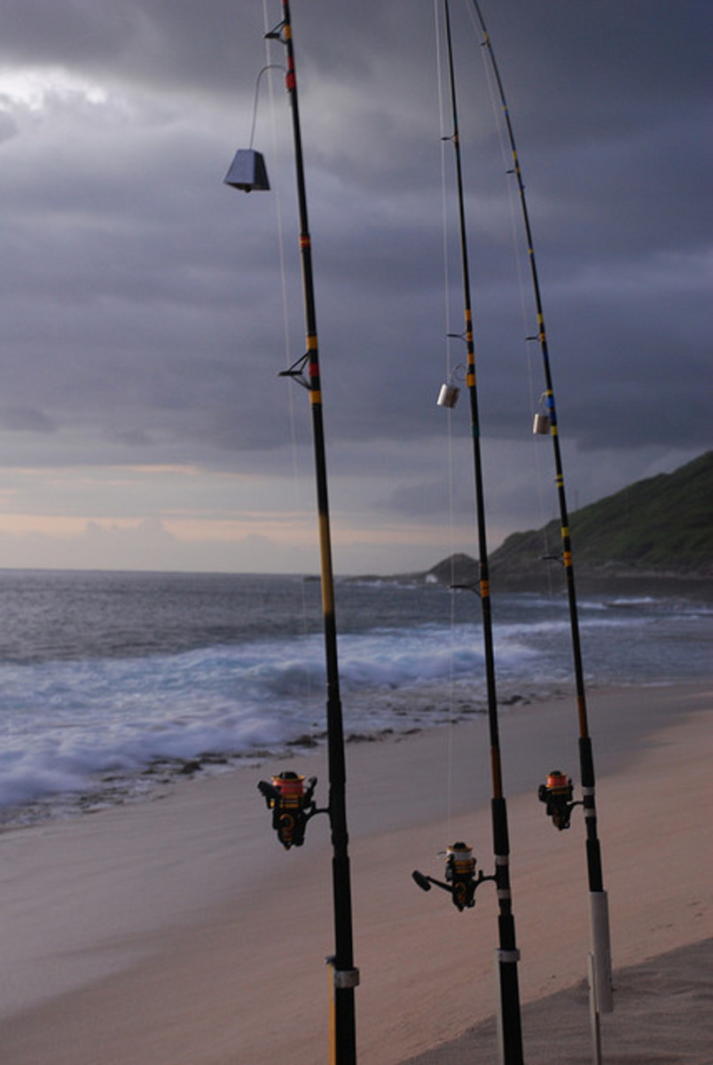 Hawaiian Fishing HubPages
