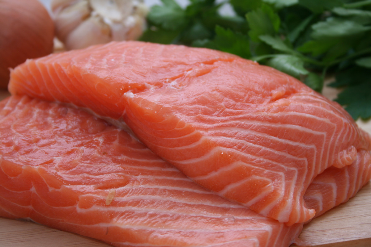 Dog Food What Not to Feed PetHelpful