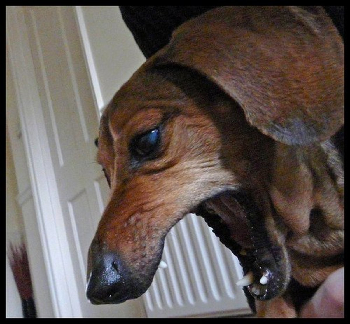 Different Types of Coughs and When to See a Doctor HealthProAdvice