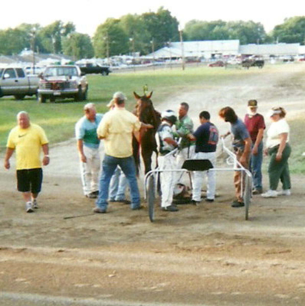 Equipment of the Standardbred Harness Racing Horse HubPages