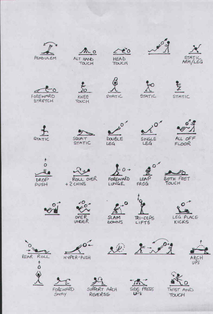 Buy Medicine Ball Exercise Workout Posters Charts for Fitness for Your