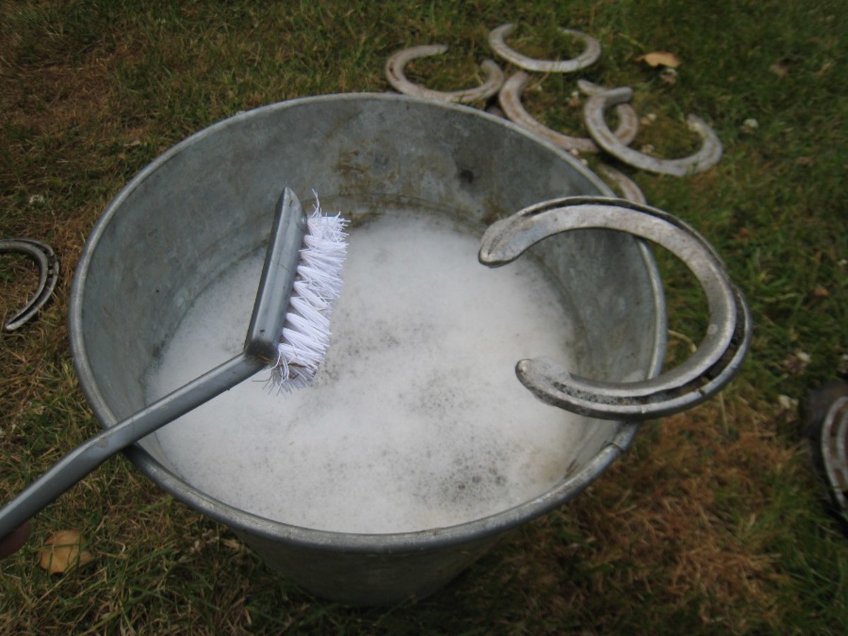 How To Clean Used Horseshoes For Crafts at Raul Berman blog