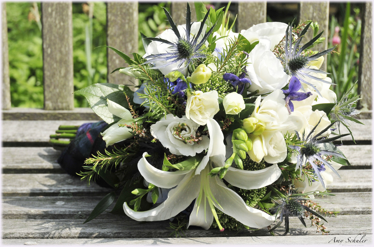 Ideas for How to Plan a ScottishThemed Wedding Holidappy