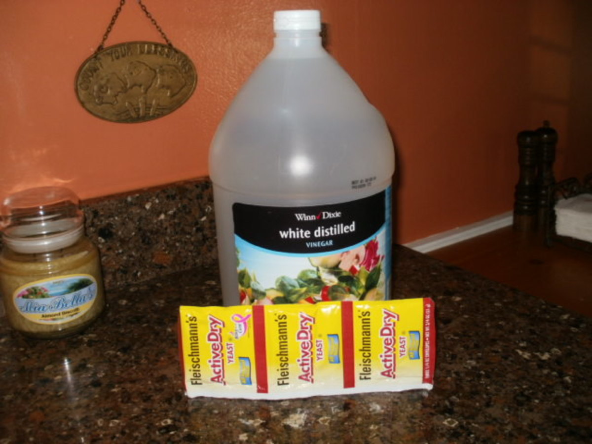 How to Maintain Your Home Septic Tank