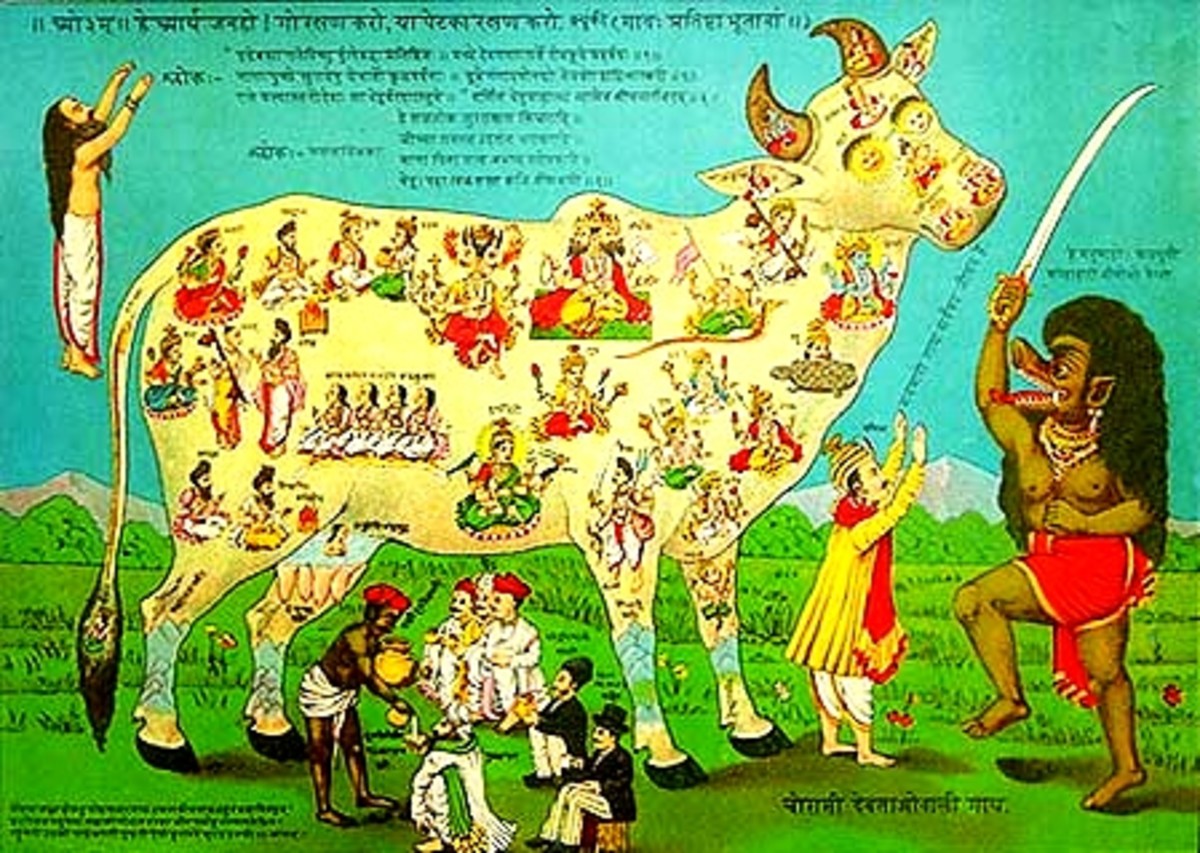 Cow is Not Holy in Jainism and Buddhism HubPages
