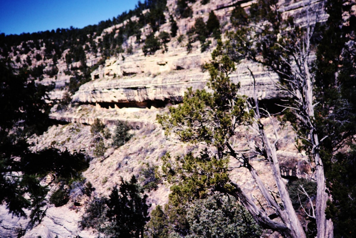 Walnut Canyon Cliff Dwelling Pictures in Grand Canyon State Ancient Indians Presence HubPages