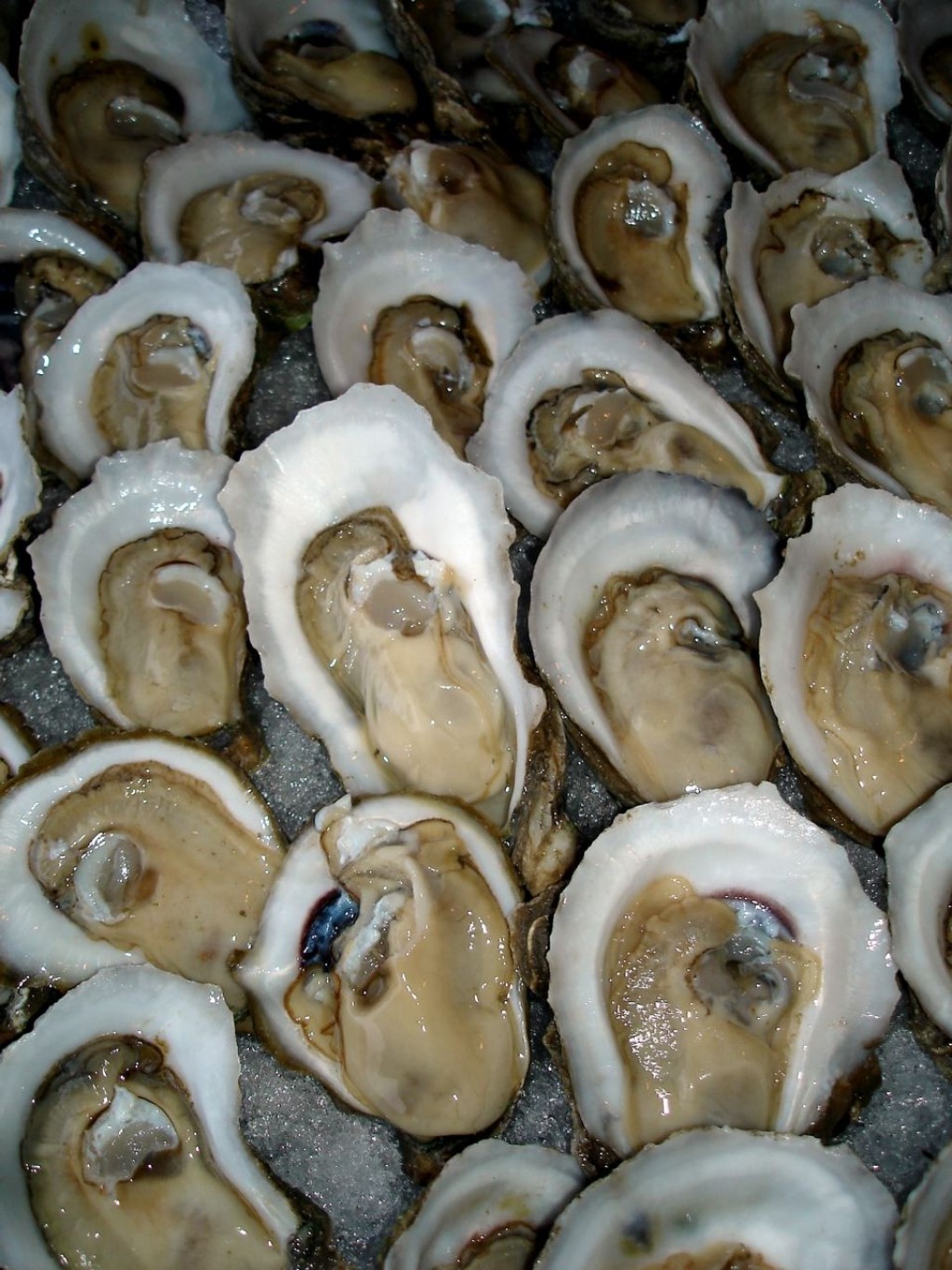 Oysters , Recipes For The Most Famous Oyster Dishes, And Oyster
