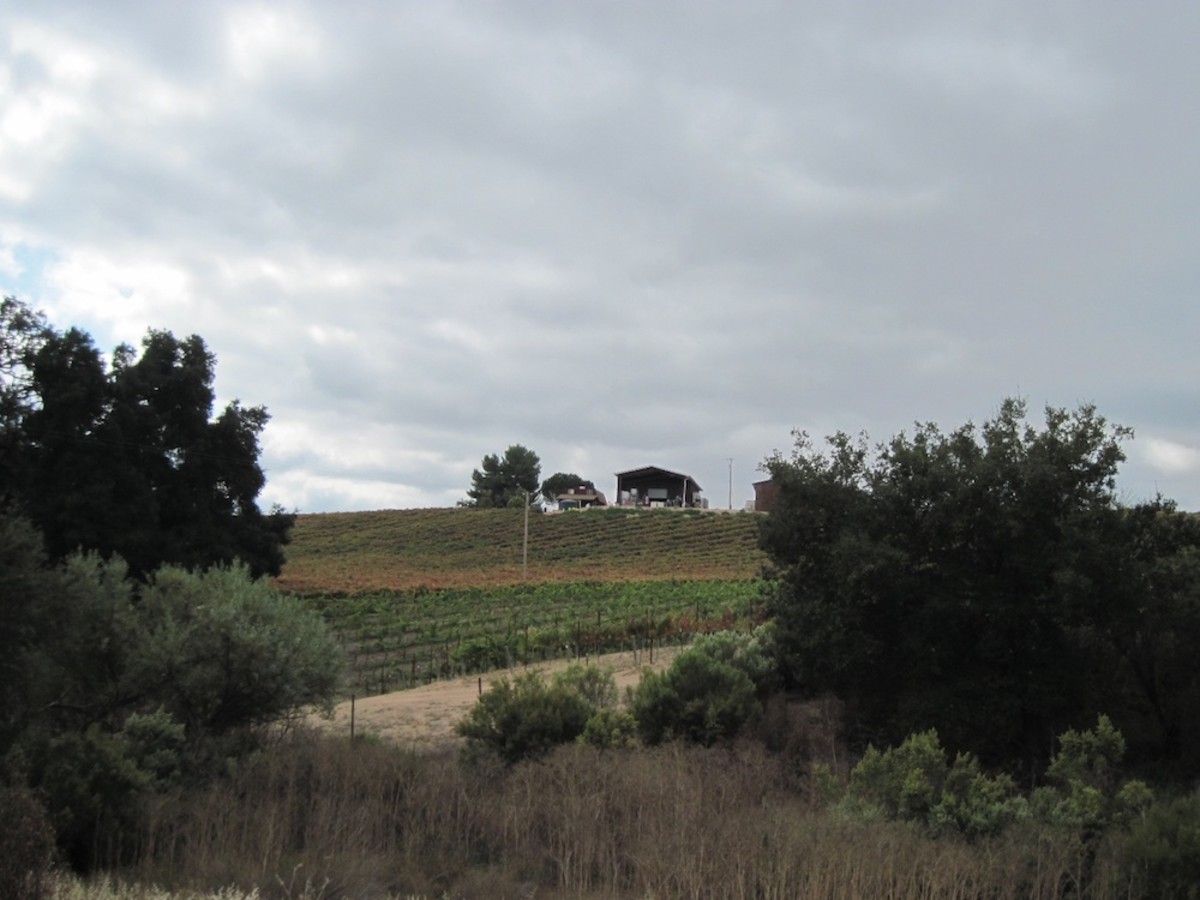 Kiler Canyon Road A Scenic Drive in Paso Robles, California HubPages