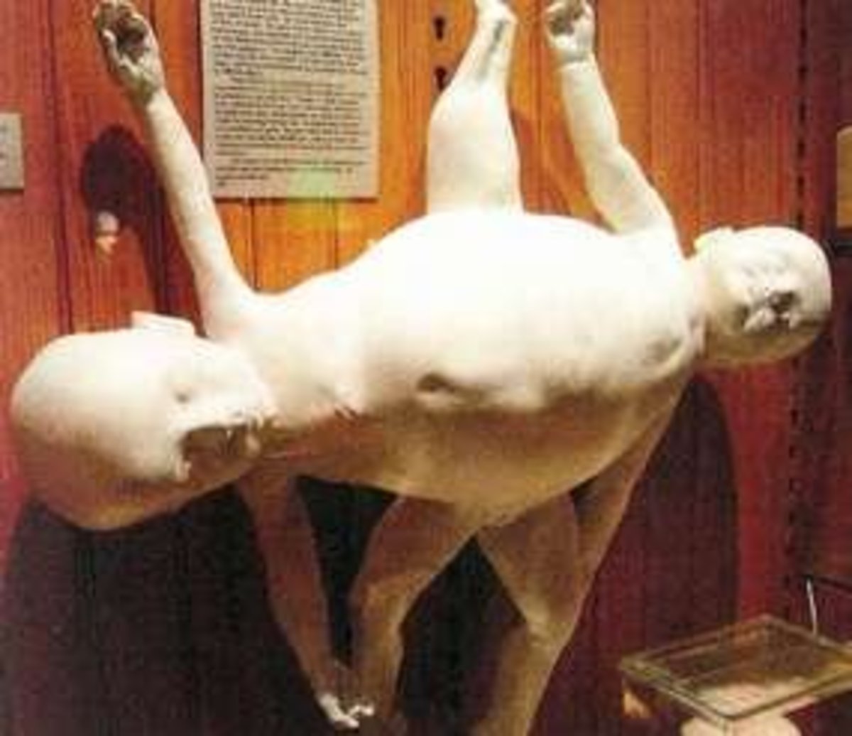 10 Strange and Unusual Things to See and Do in Pennsylvania HubPages