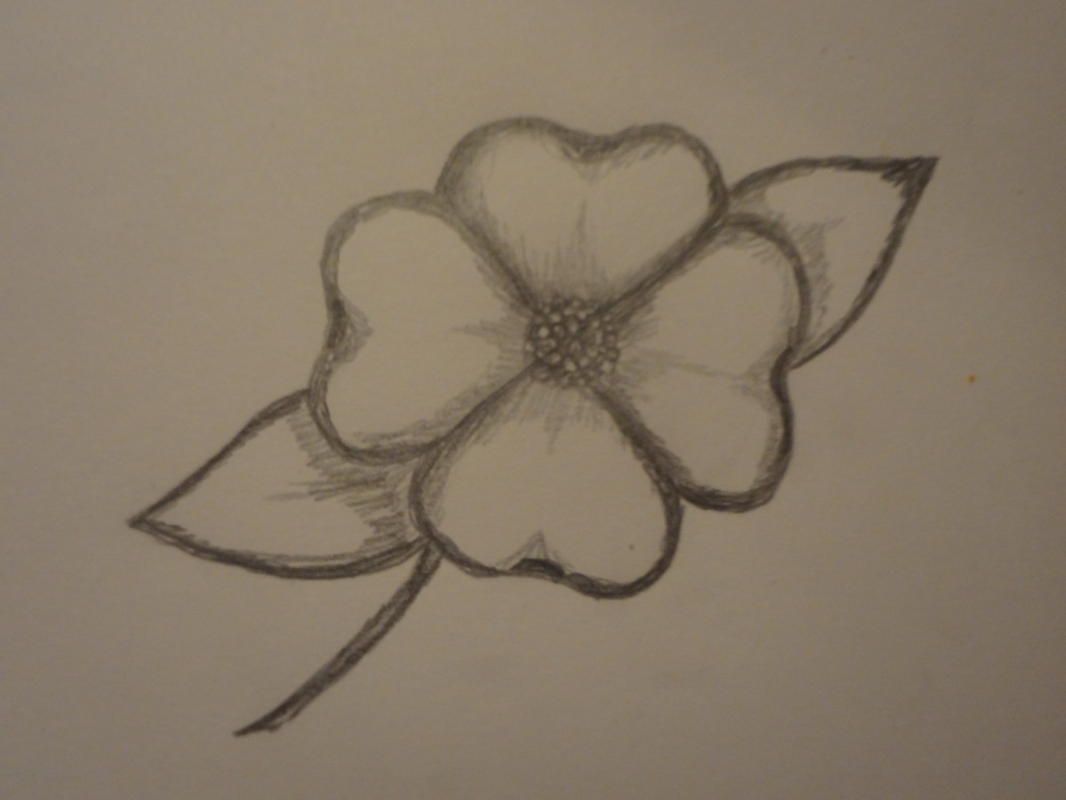 How to Draw a Dogwood Flower