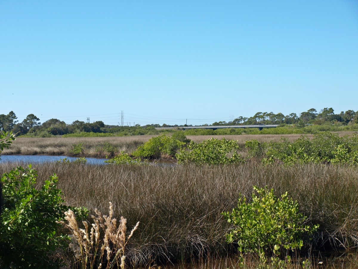 Anclote River Florida's Gulf Coast HubPages