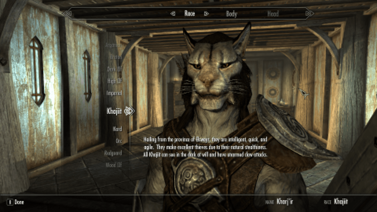 How to Change Your Appearance and Name in "Skyrim" LevelSkip