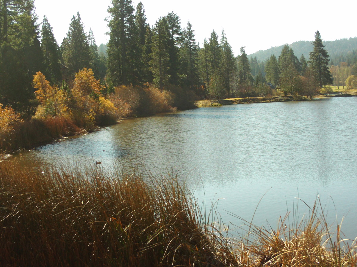 The Beauty of Grass Valley Lake Up In The San Bernardino Mountains