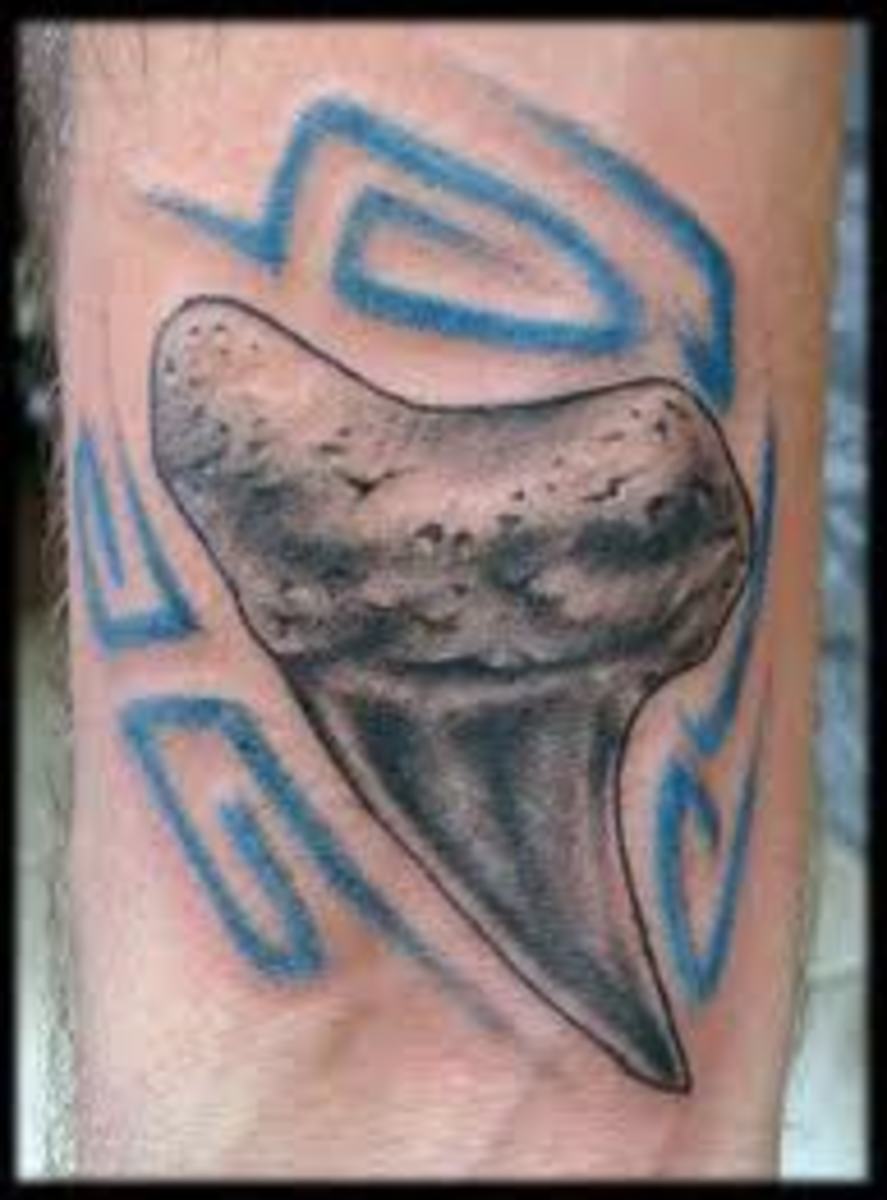 Shark Tattoos And Shark Tooth Tattoos With Images; History And Meanings
