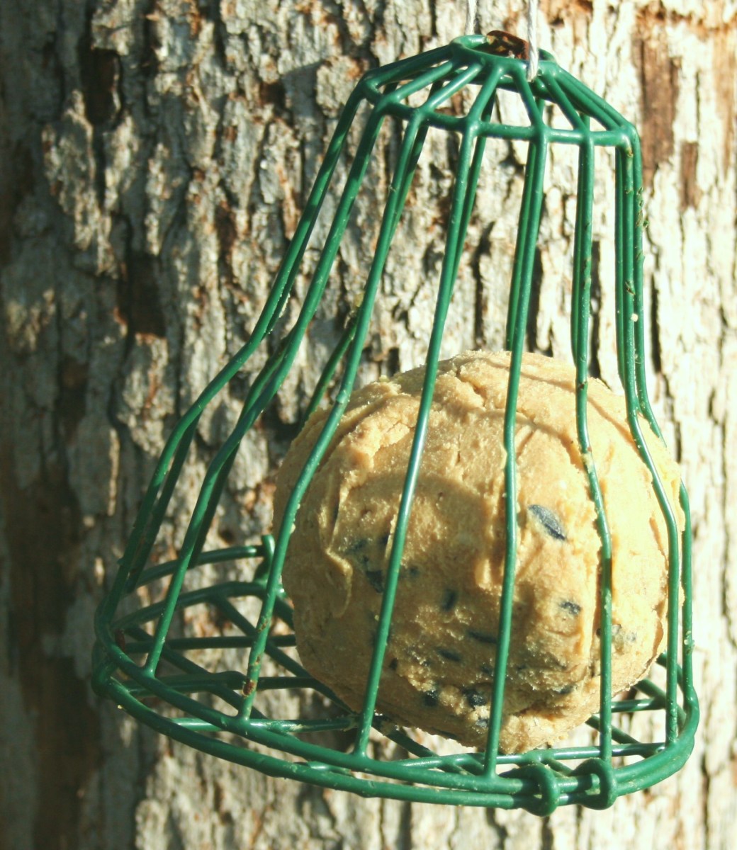 Easy Suet Recipes HubPages