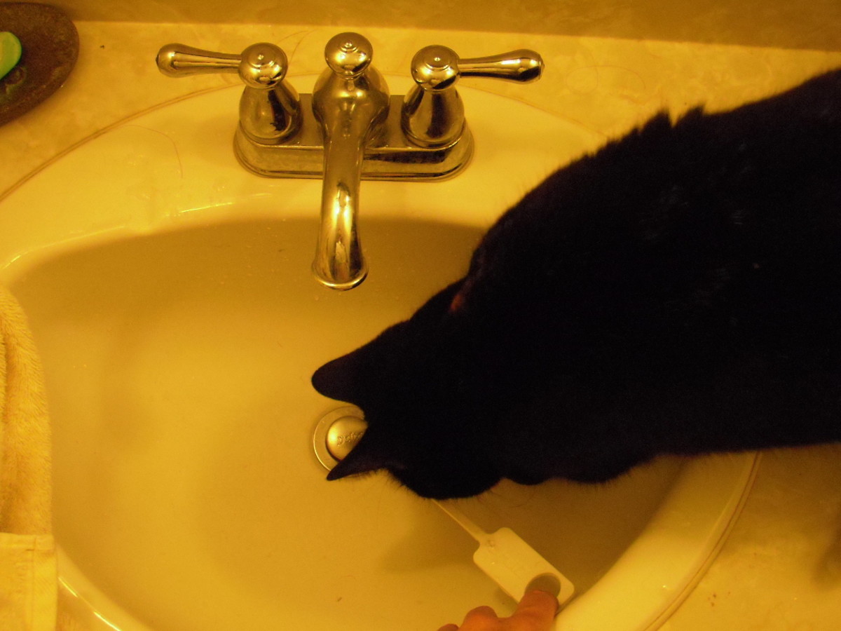 How to Replace Rotted Wood Under A Kitchen Sink