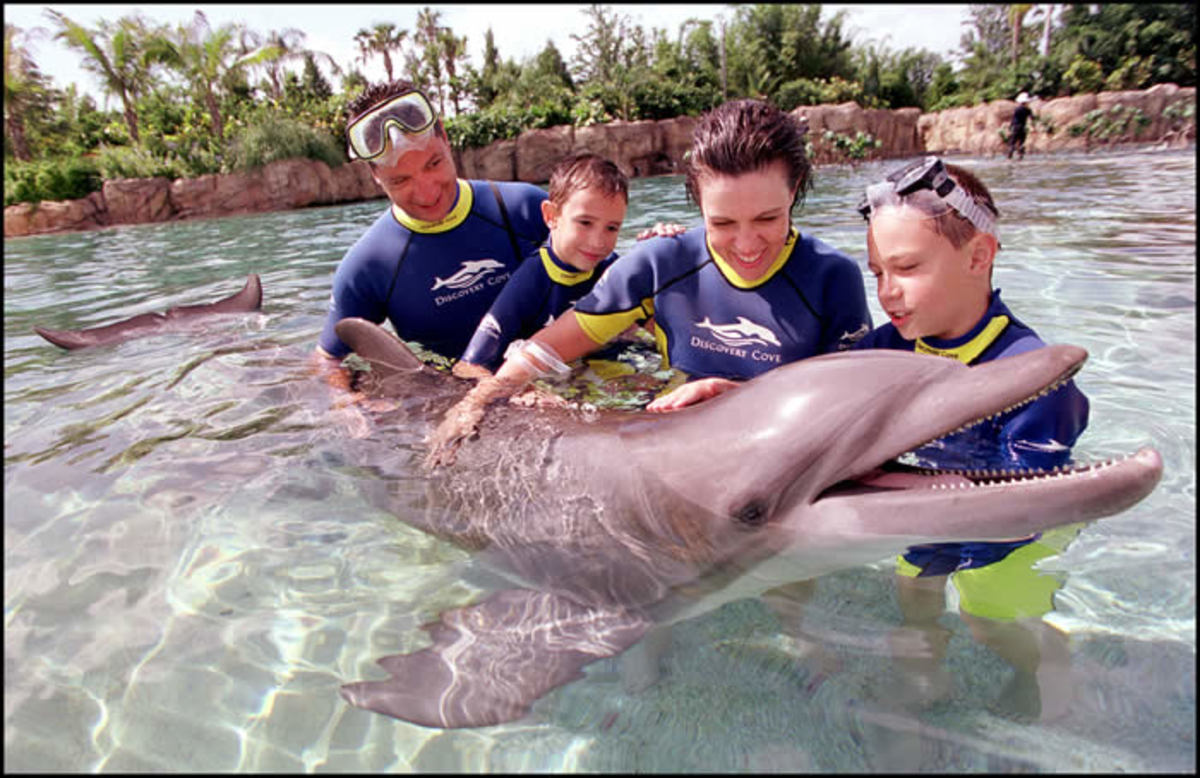 Top Ten Summer Vacations For The Family HubPages