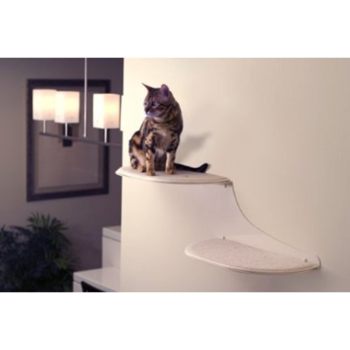 7 Best Cat Towers and Cat Houses Reviewed HubPages