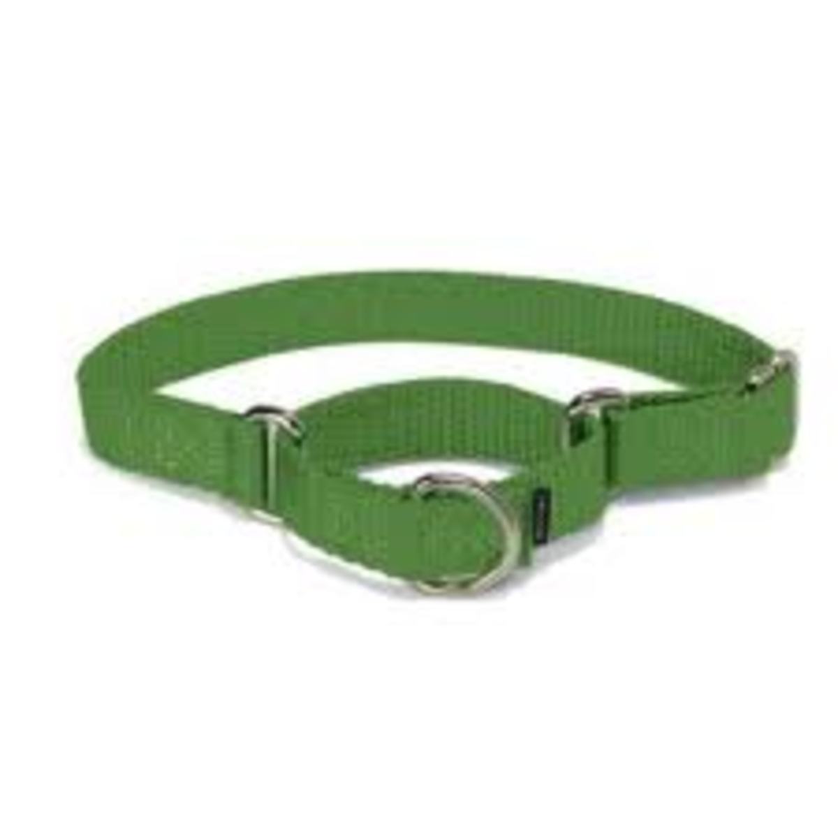 Dog Collars The Good, the Bad, and the Ugly hubpages
