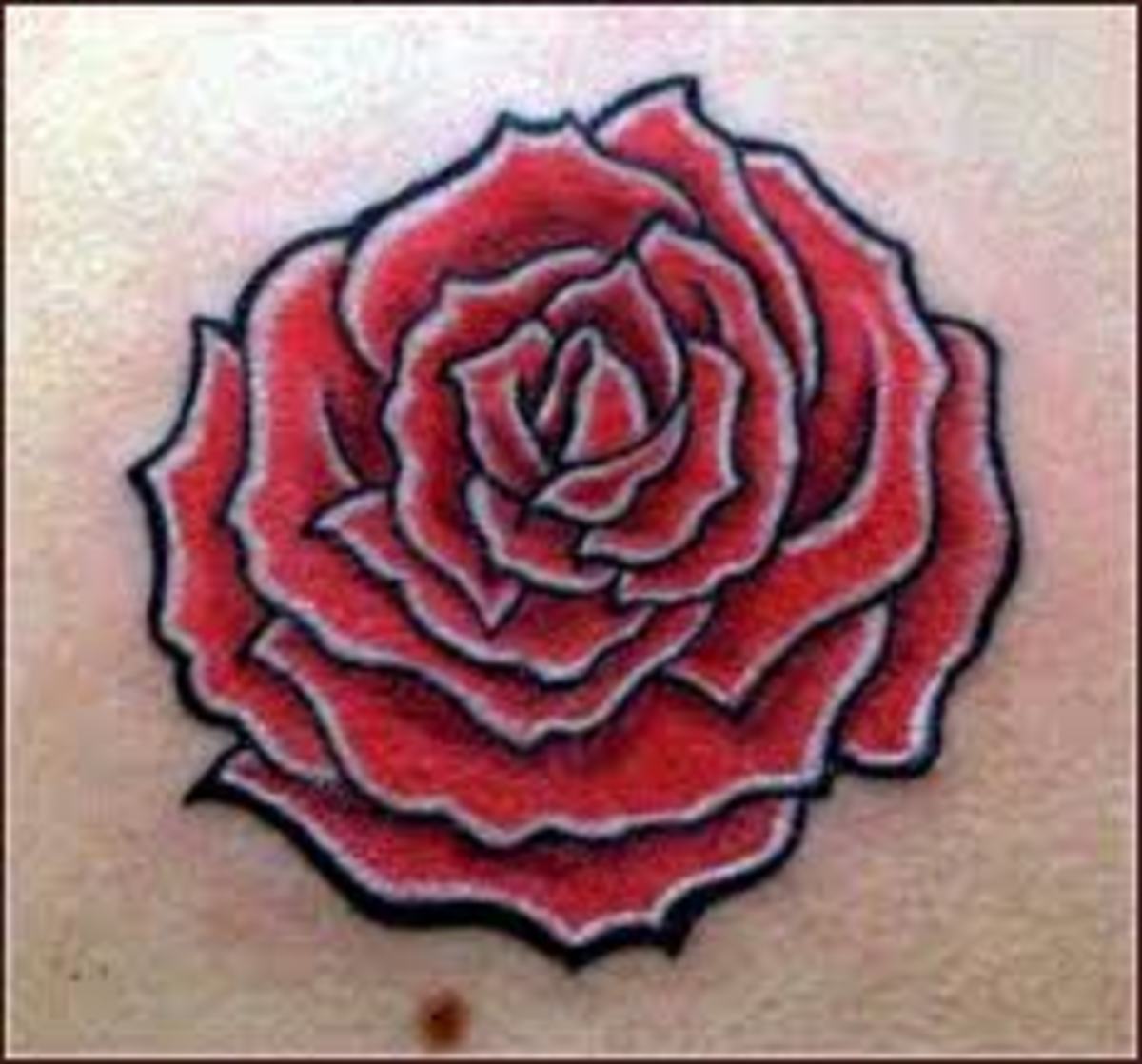 Rose Tattoo And Rose Tattoo MeaningsRose Tattoo Ideas And Designs