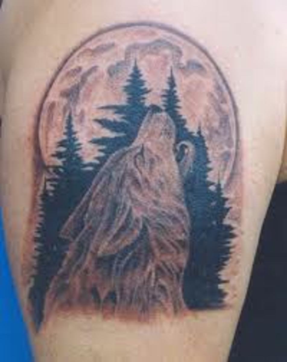 Wolf Tattoos Designs, Ideas, and Meanings TatRing