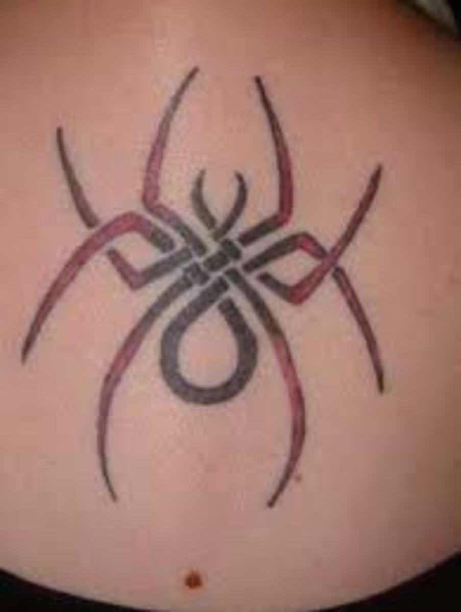 Spider and SpiderWeb Tattoo Designs and Meanings TatRing