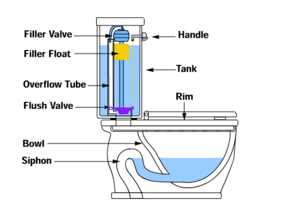 How Does A Toilet Work Toilet Basics 101 Hubpages