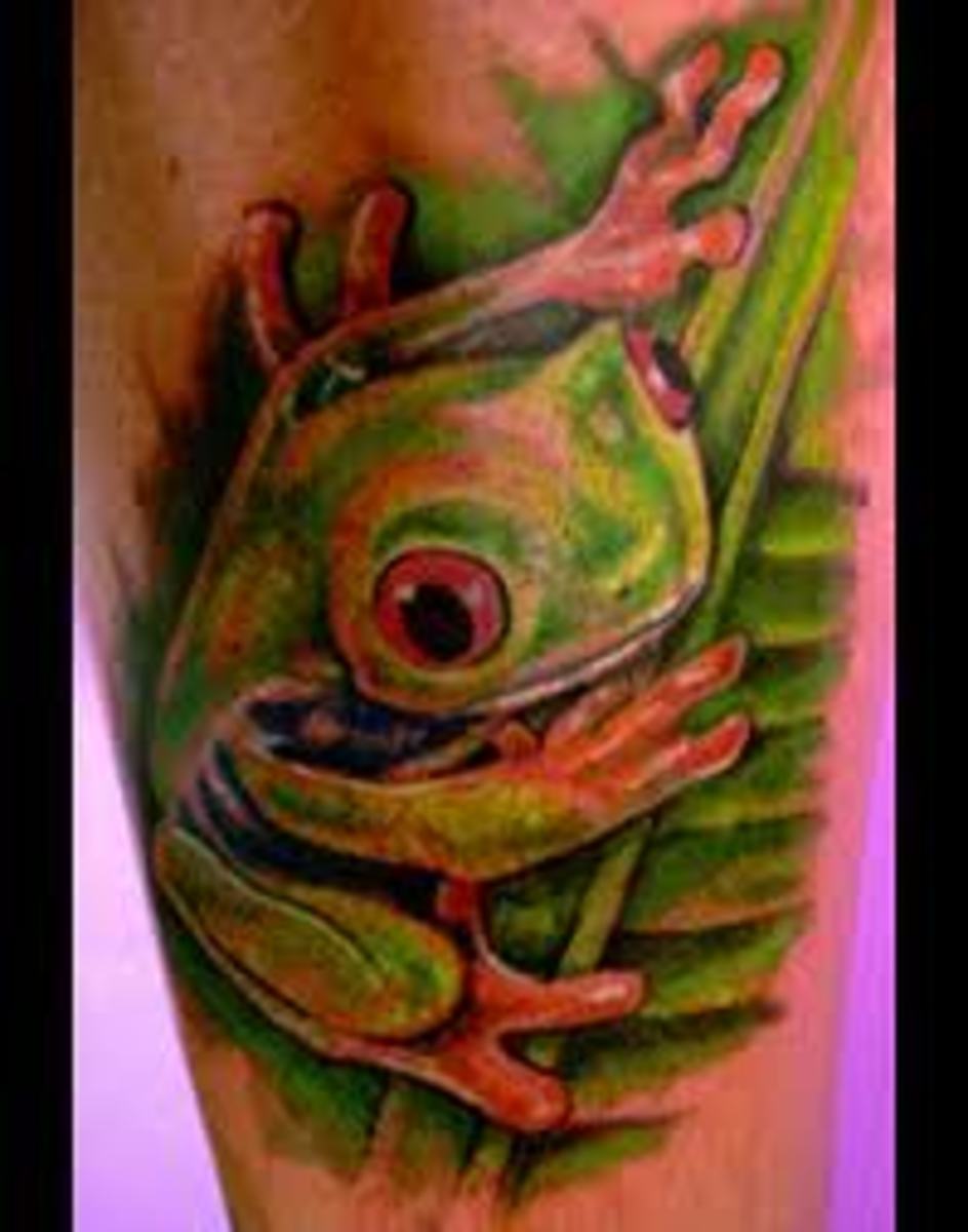 Frog Tattoos And Meanings; Frog Tattoo Designs And Ideas