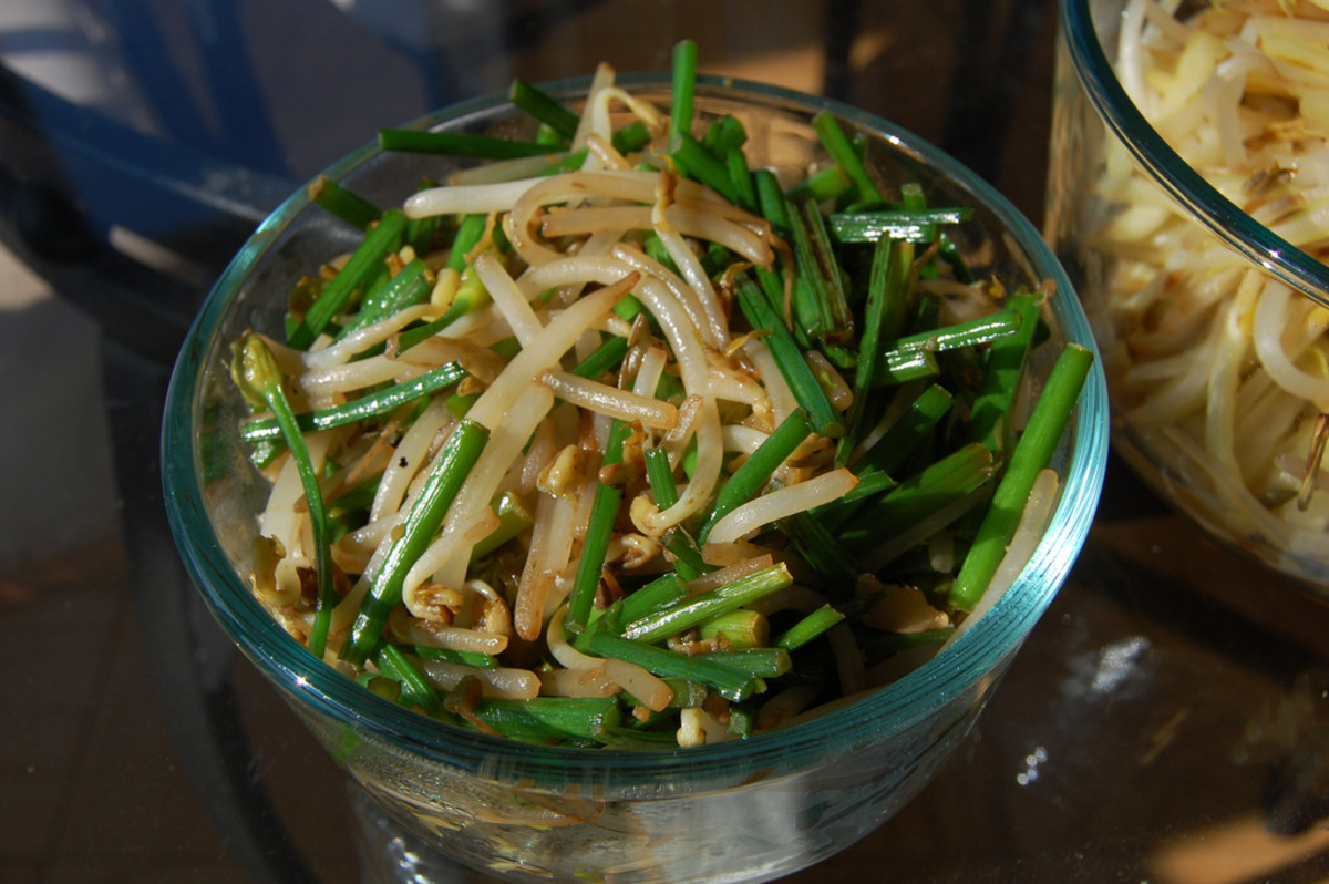 Chinese StirFried Bean Sprouts With Bean Sauce Recipe. An Easy