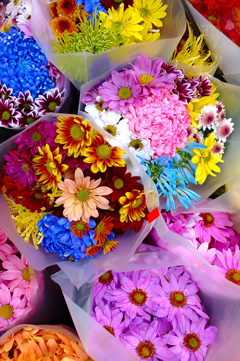 Longest Lasting Cut Flowers seijimonogatari