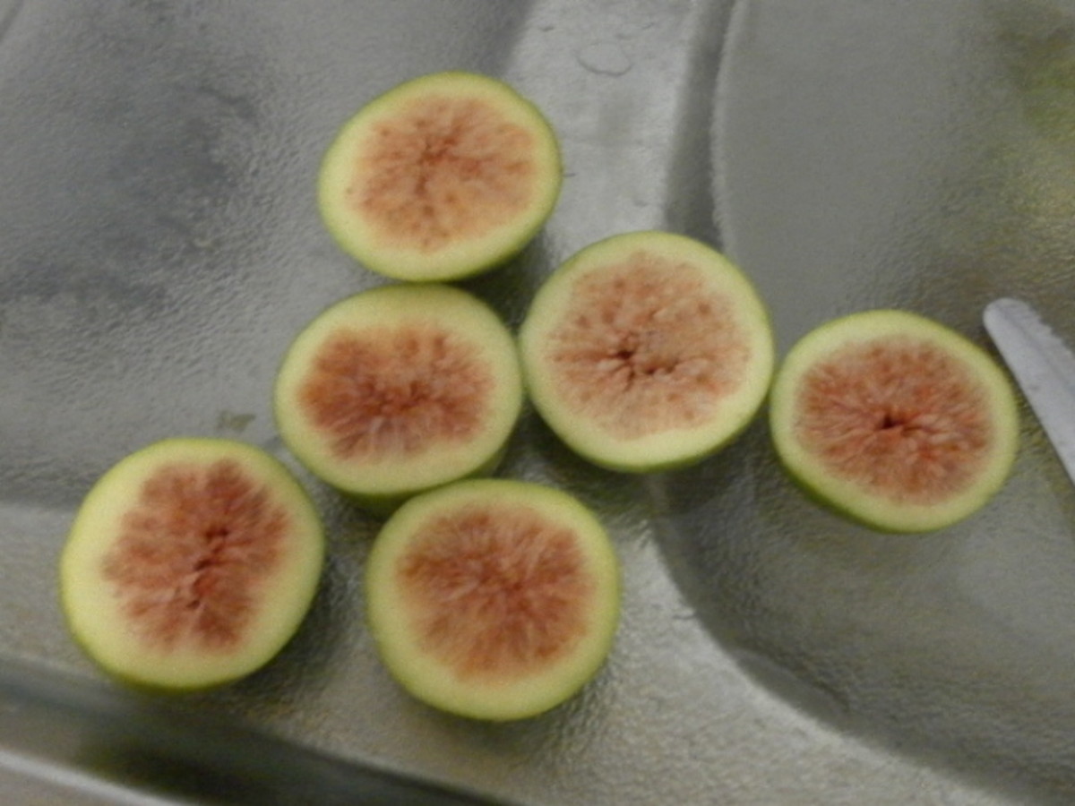 How To Make Healthy Dried Fig Fruit Snacks HubPages