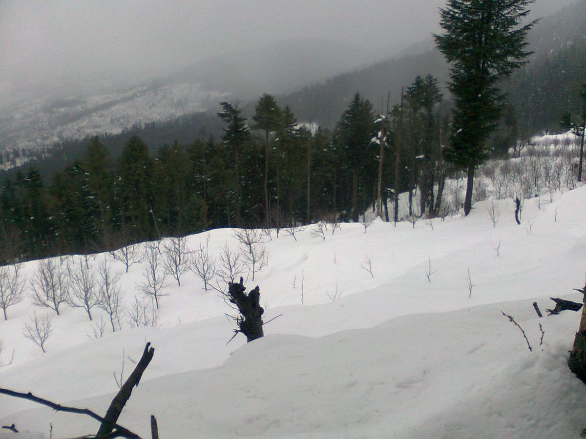 Why hill stations are best places to spend your vacations? Four reasons