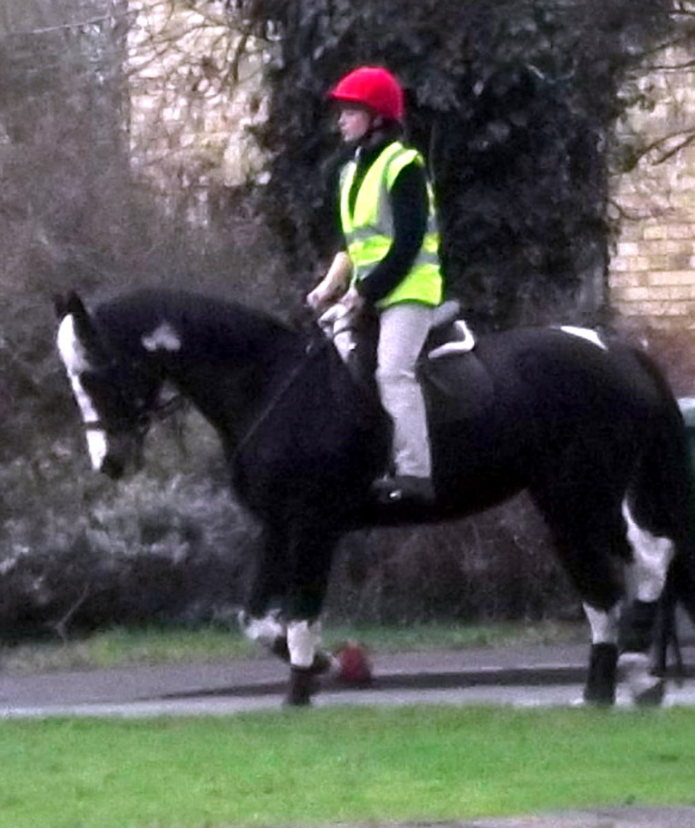 How to get fit and lose weight in just 12 minutes a month HubPages