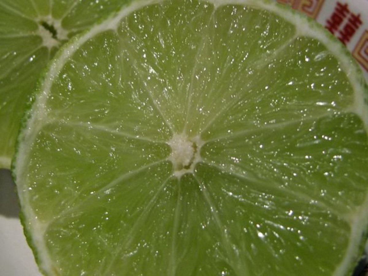 Lime Juice Benefits Delishably