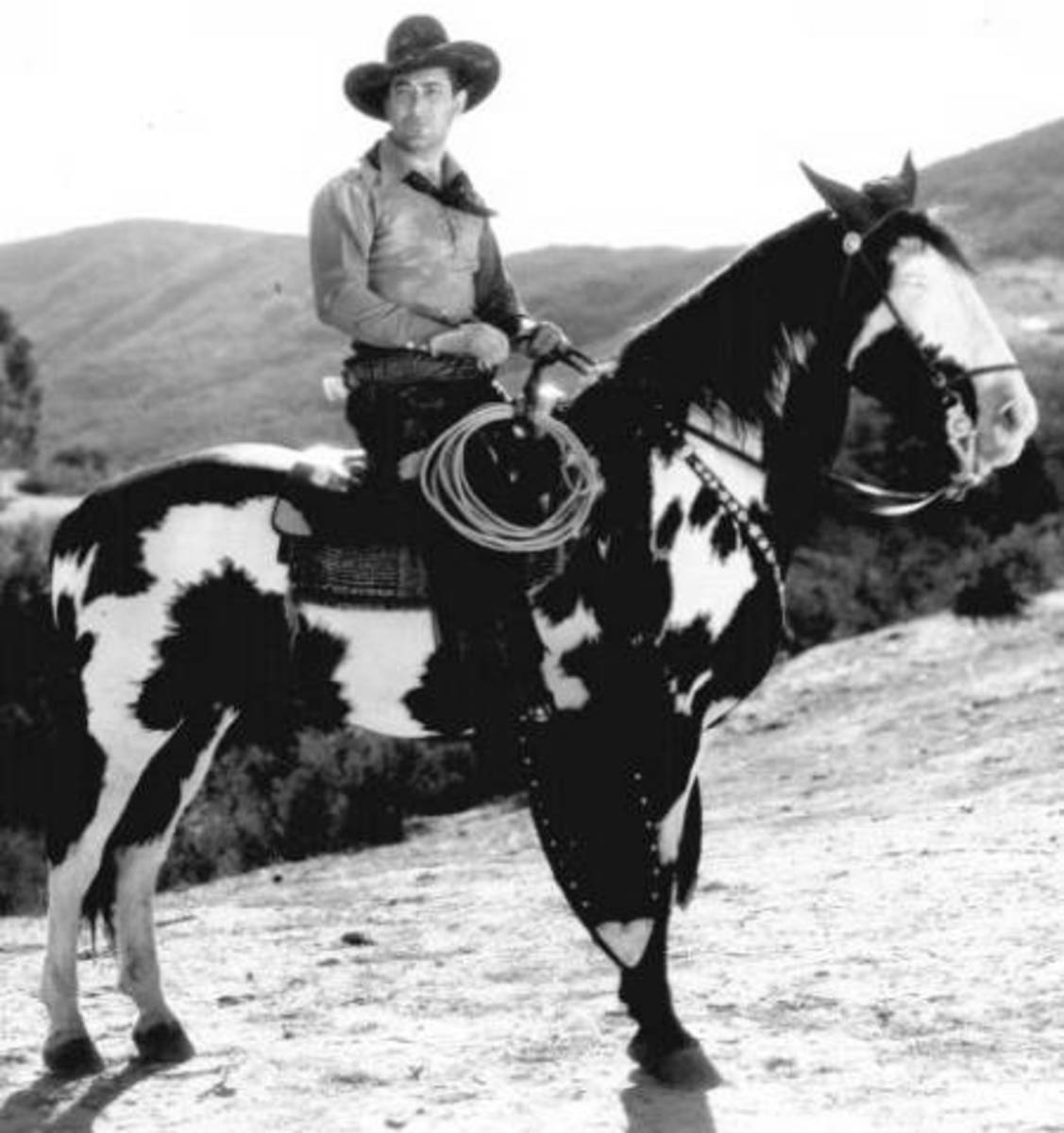 Horses of Famous Western Movie Stars and Their Sidekicks ReelRundown