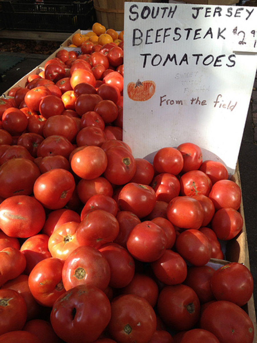 The History and Lore of the Fabulous Jersey Tomato hubpages