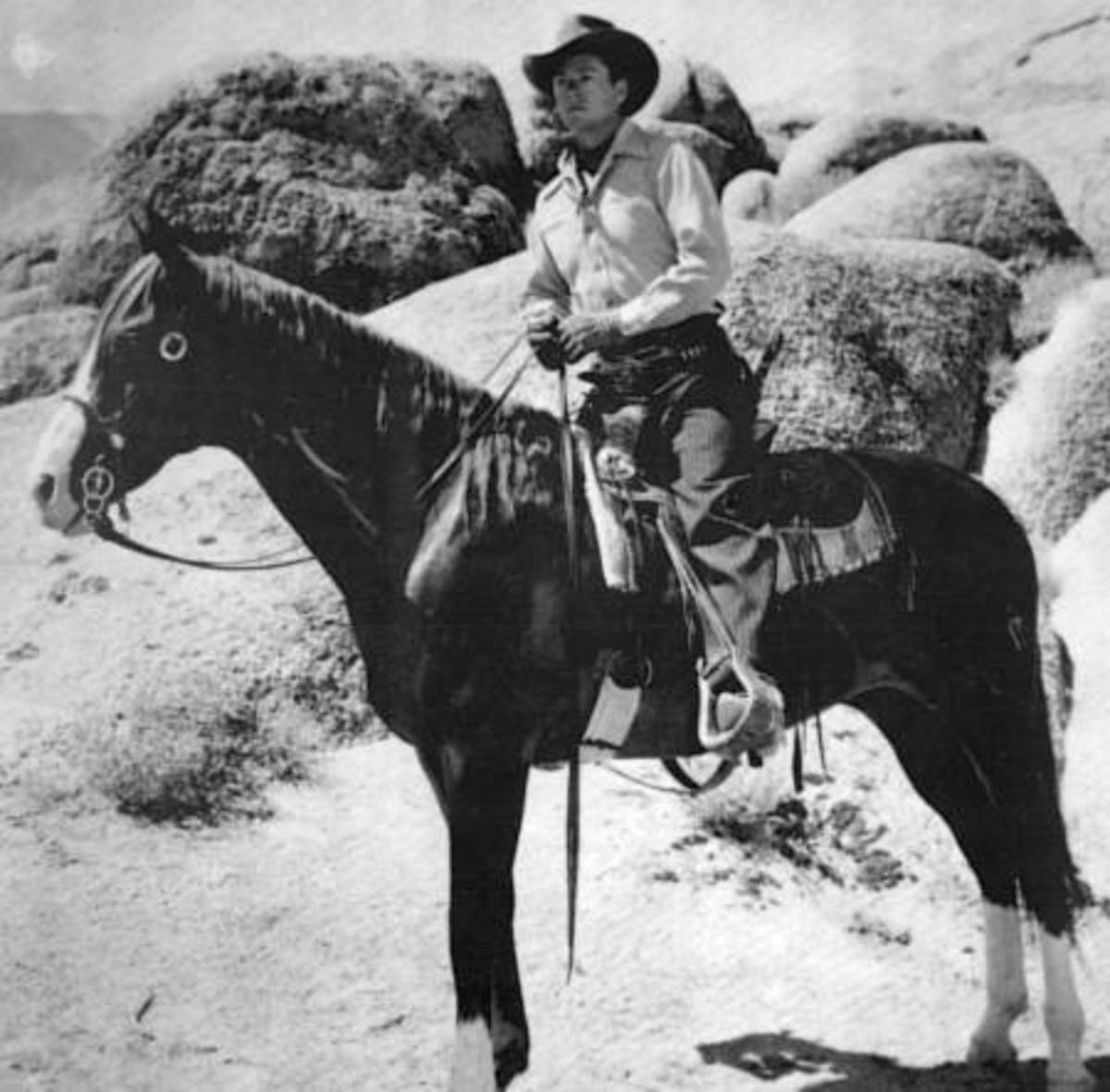 Horses That Old Western Stars of BFilms and Their Sidekicks Rode