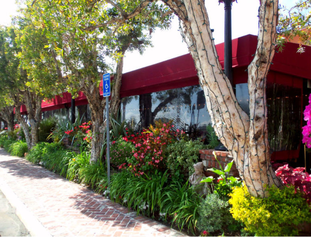 The Original Fish Company in Los Alamitos CA Menu / Prices