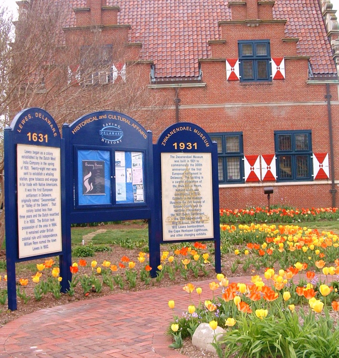 Springtime Fun Lewes Delaware Tulip Festival HubPages