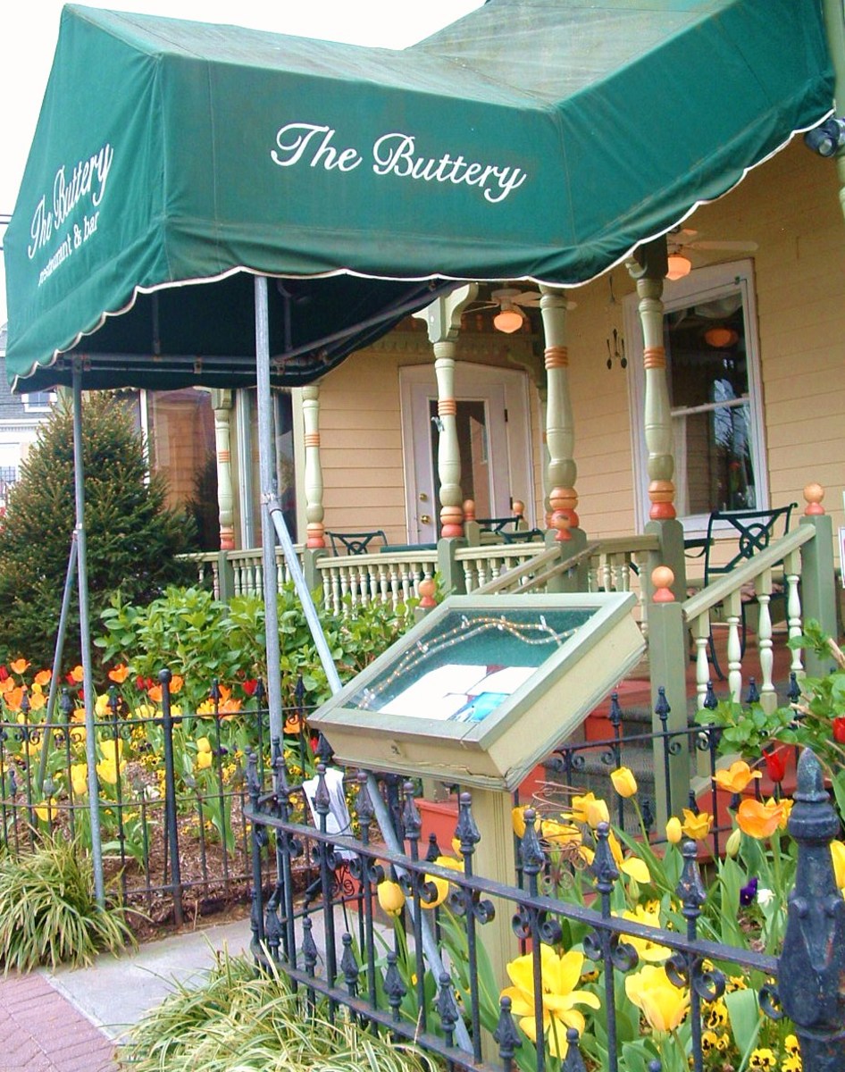 Springtime Fun Lewes Delaware Tulip Festival HubPages