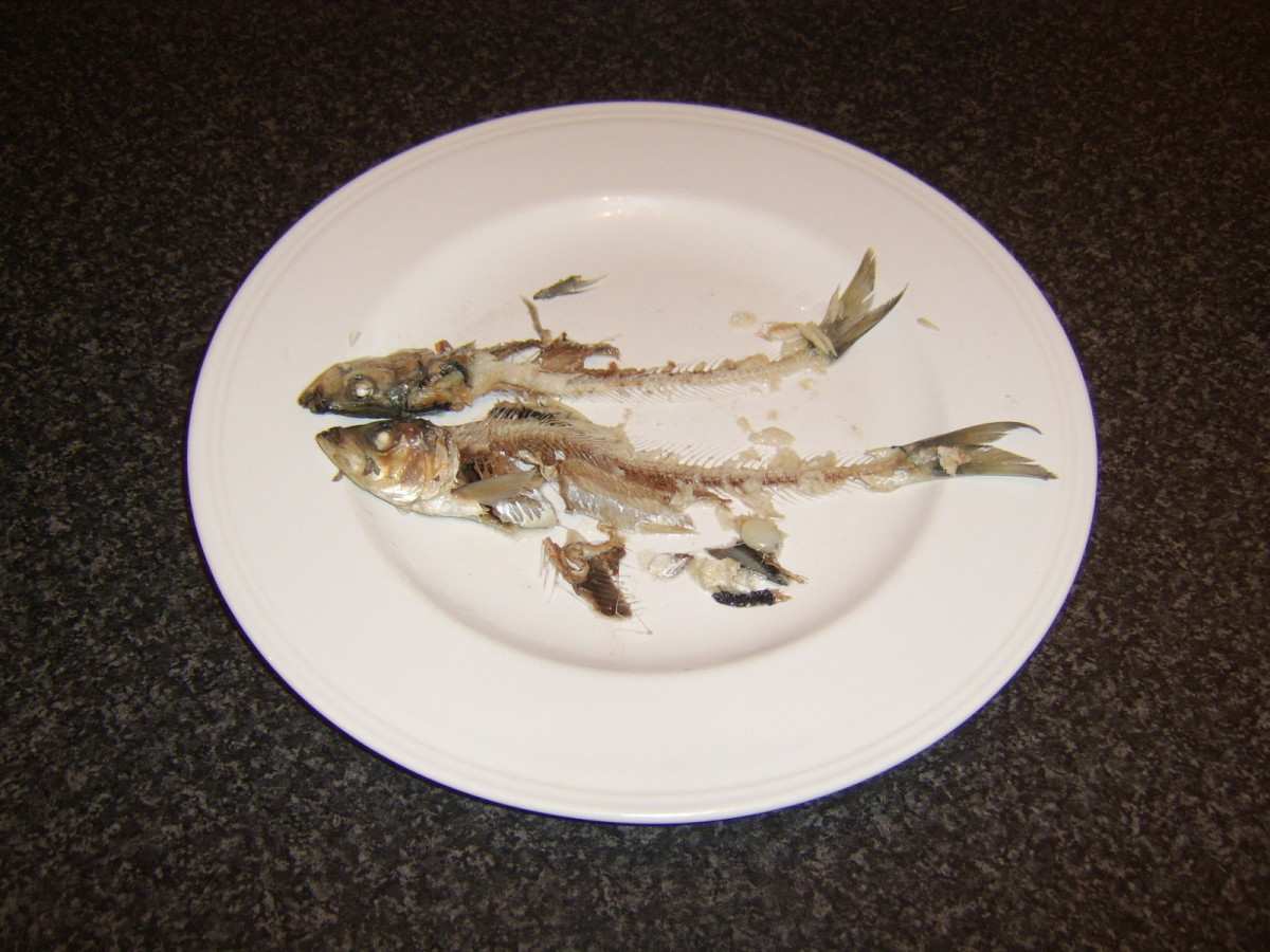 How to Cook Herring and Herring Recipes Delishably