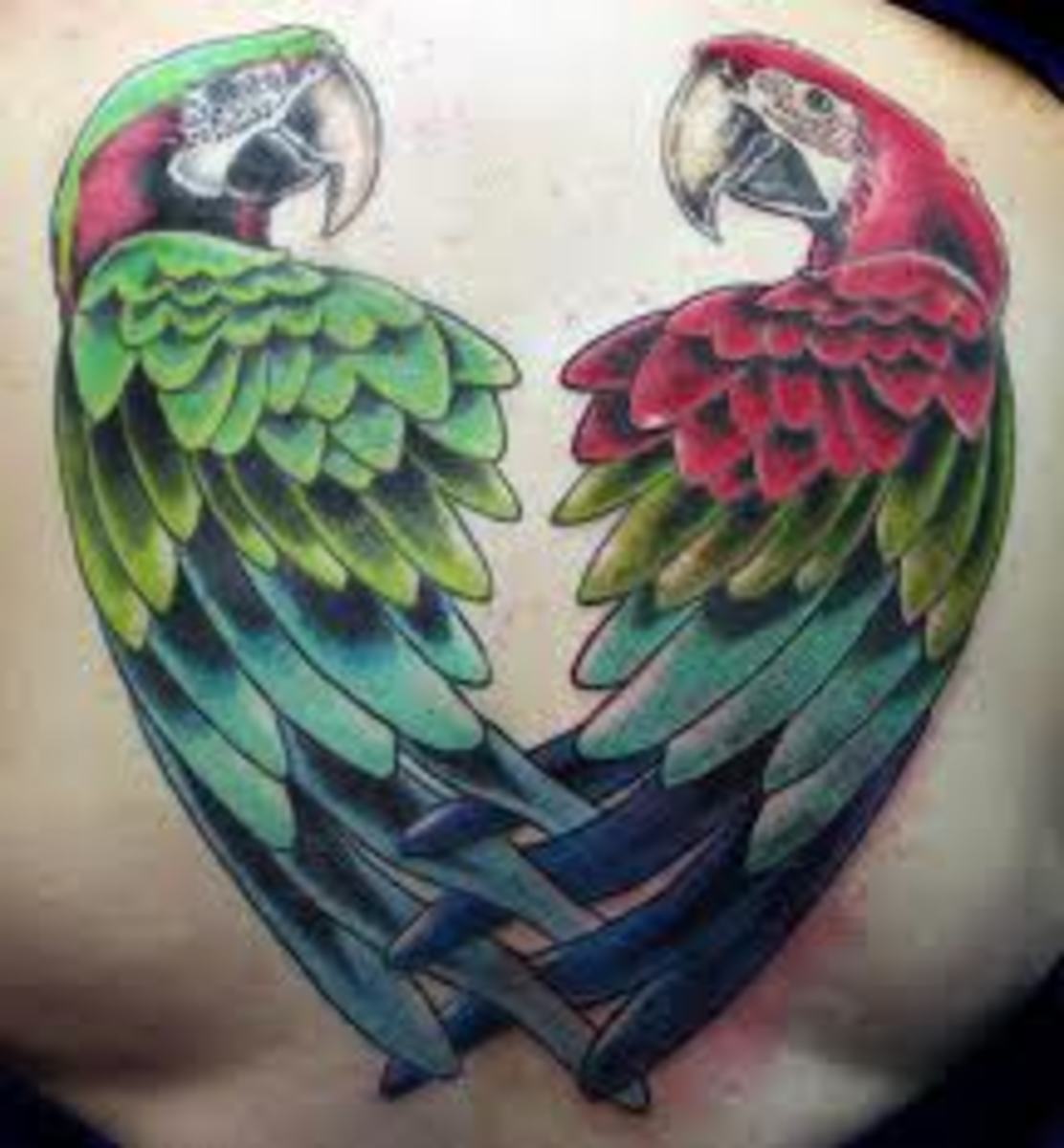 Parrot Tattoos And DesignsParrot Tattoo Meanings And Ideas HubPages