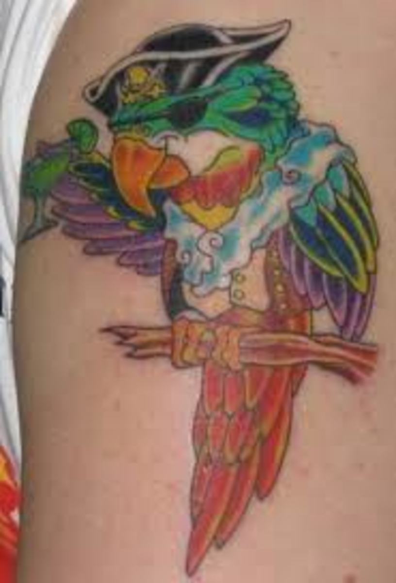 Parrot Tattoos And DesignsParrot Tattoo Meanings And