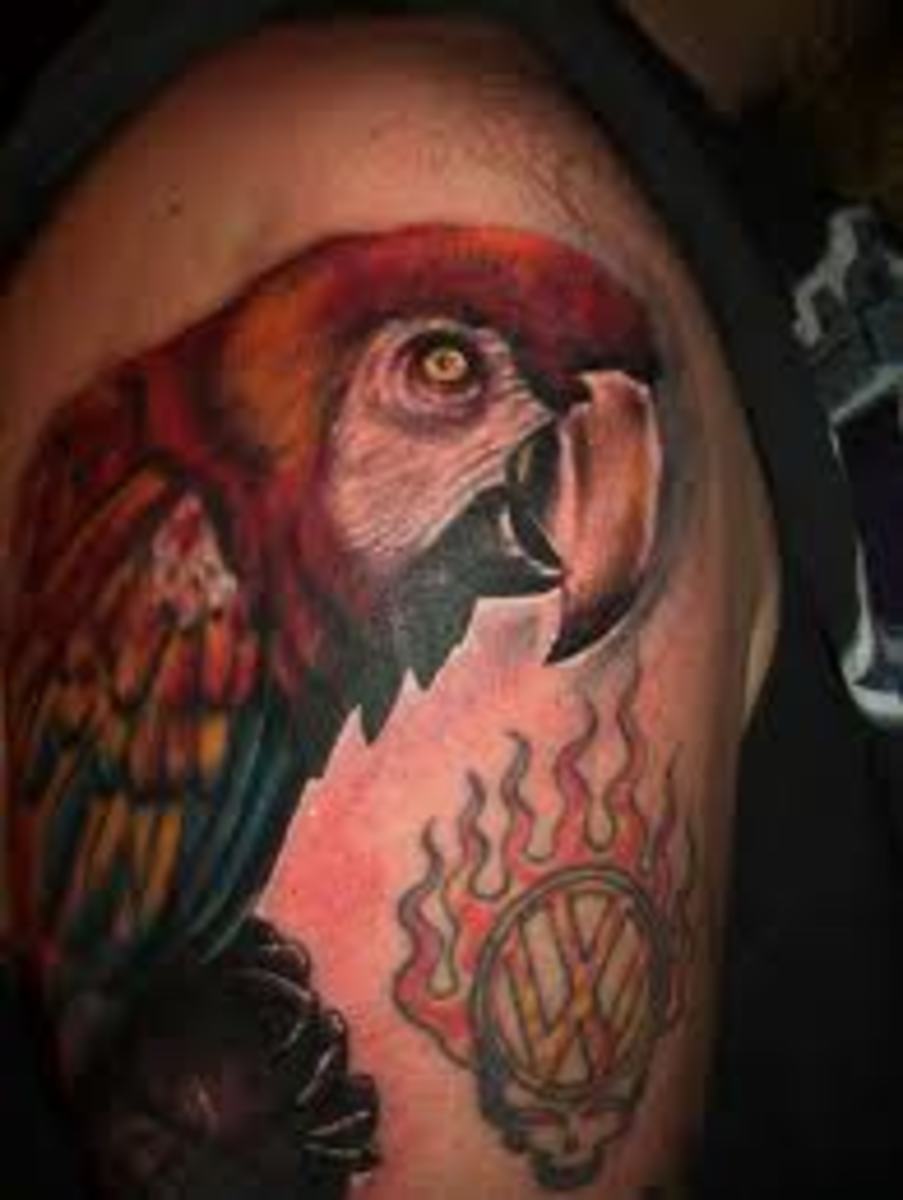Parrot Tattoos And DesignsParrot Tattoo Meanings And Ideas HubPages